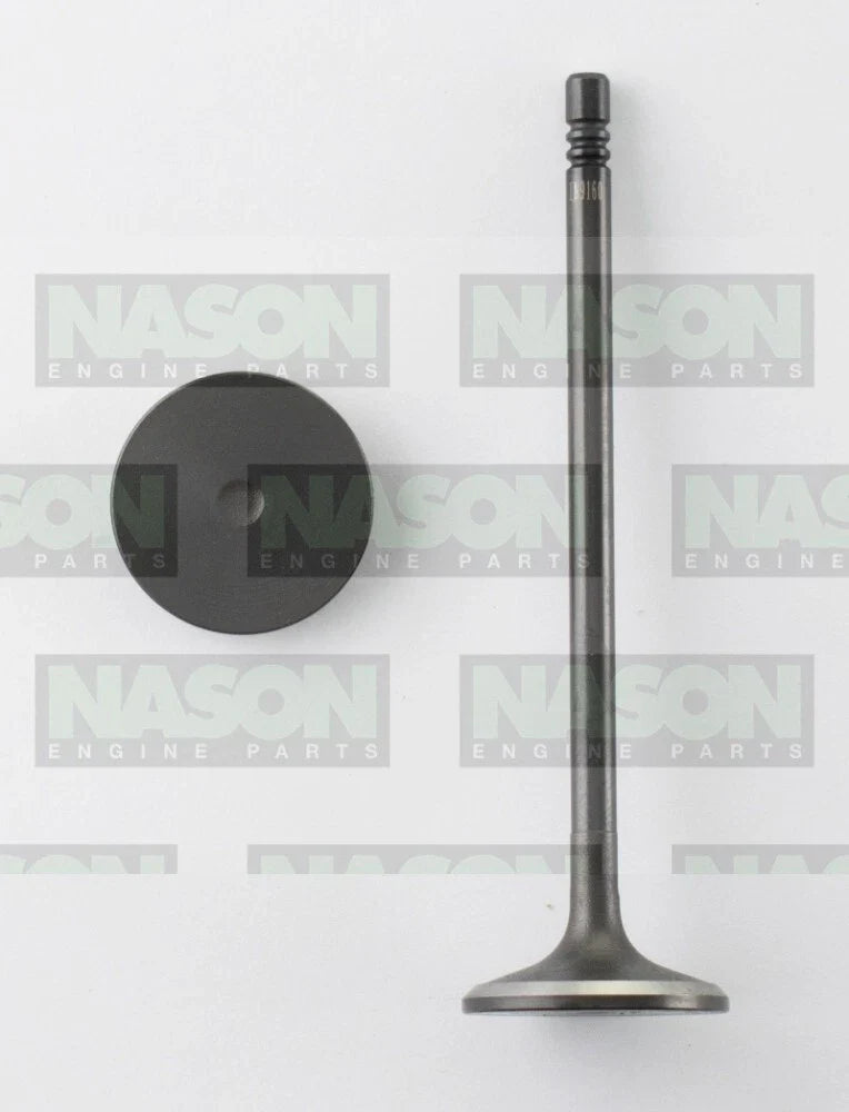 Holden Cruze JH 2.0L Z20D1 Inlet Valve (2011–2015)