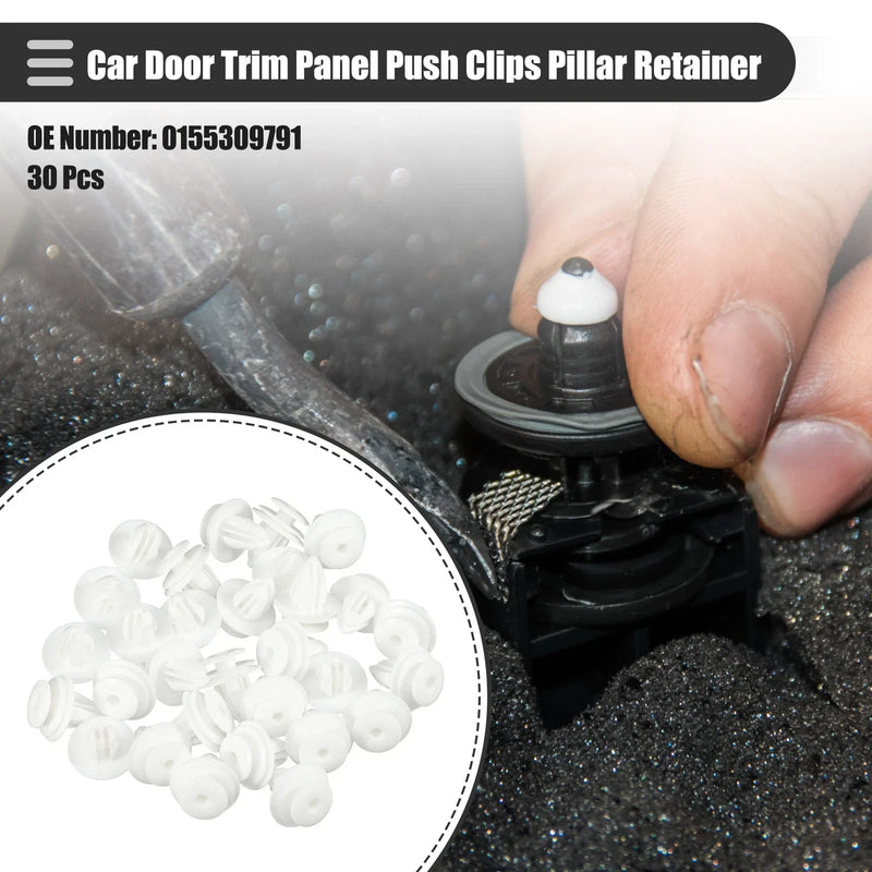 Nissan 30 Pcs Car Door Trim Panel Push Clips (No.0155309791)