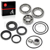 Honda TRX 300 Fourtrax Rear Differential & Axle Bearing & Seal Kit (1988–2000)