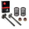Club Car DS Precedent FE290 Intake/Exhaust Valve Replacement (1992–2023)