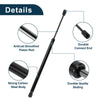 Ford Focus Hatchback Rear Hatch Lift Supports (2003-2007)