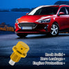 Car, Motorcycle, Boat - Gold Tone M12x1.25 Engine Oil Drain Plug W/ Gasket
