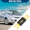 Car, Motorcycle, Boat - Gold Tone, Black 3 x Mini ANL 175A Fuses