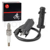 Arctic Cat Prowler XTZ 1000 Coil Pack & Spark Plug + Cap (2009–2014)