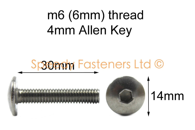 Speedy Fasteners 2x Bolt m6 30mm