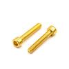 Motorcycle 12 x Gold Tone 6mm Hexagon Bolts Screws