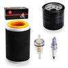 Yamaha Bruin 350 Air Filter Guide Cage Cap Oil Filter 2x4 4x4 (2004–2006)
