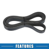 Honda Accord Serpentine V-Ribbed Belt (2008-2012)