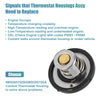 Ford Fiesta Engine Coolant Thermostat Housing (2009-2017)
