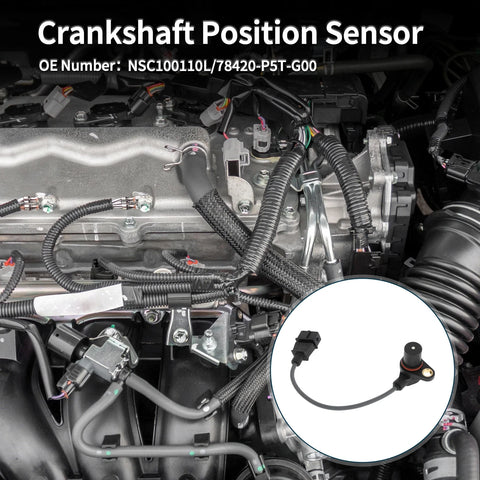 Honda Accord 2.0 Turbo Crankshaft Position Sensor (1999-2002)
