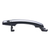 Holden Barina, Caprice RHF Chrome Outer Door Handle (2011-2018, 2013-2017)