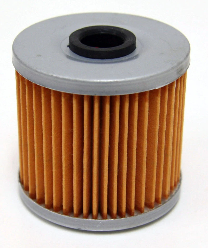 Kawasaki Bayou 220 Oil Filter (1988–2002)