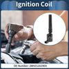 Ford Thunderbird Ignition Coil Pack (2002-2005)