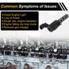 Hyundai Elantra Camshaft Oil Control Valve (2002-2012)