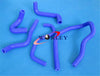 Renault Clio MK1 16S 1.8L 2.0L 16V F7 Silicone Hose (1991-1998)