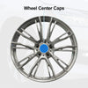 Toyota FJ Cruiser Wheel Center Cap / 1 x Titanium Tone Plastic (2007–2014)