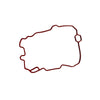Chevy Astro Blazer C1500 Express Manifold Plenum Gasket (1996-2005)