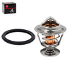 Honda Foreman Rubicon 500 TRX520 Thermostat & O-Ring (2020–2024)