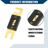 Car, Motorcycle, Boat - Gold Tone, Black 3 x Mini ANL 175A Fuses