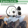 Honda TRX250X 2013-2019 Ignition Coil (2 x Coils)