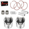 Yamaha 64.75mm 0.75 Oversize Big Bore Banshee 350 Forged Piston Ring