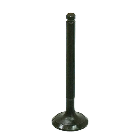 Yamaha Raptor 110 & Grizzly 110 Engine Exhaust Valve (2024–2025)