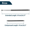Chrysler Town & Country Rear Hatch Lift Supports Struts (2008-2016)