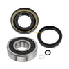 Honda Rancher 420 Foreman 500 Rear Axle Wheel Bearings & Seals (2014–2022)
