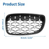 BMW 128i 135i Front Hood Bumper Grille