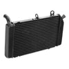 Honda Silverwing 600 FSC600 Radiator Cooler (2002-2013)