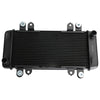 Kawasaki Ninja 300 EX300 (2013-2017) Black Radiator Guard