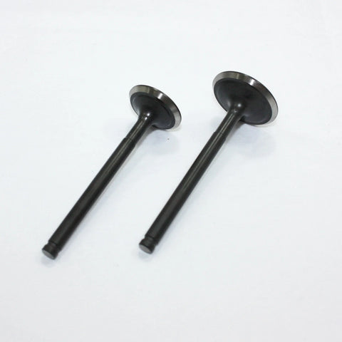 YX PIT PRO TRAIL DIRT BIKE 150cc Engine Head Intake Exhaust Valves