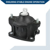 Honda Accord 2.4L Engine Motor Mount (2013-2016)