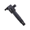 Hyundai Grandeur, Sonata, Kia Carnival, Sorento 1 x Ignition Coil (2006-2010)