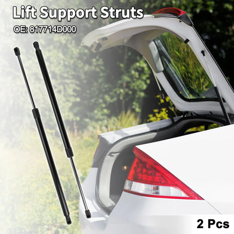 Kia Sedona Rear Hatch Lift Supports (2006-2014)