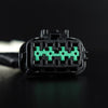 Stedi Wiring Harness Loom Kit Plug Play fits Nissan