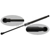 Swag Tailgate Strut 20 94 4001