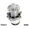 Tru-Flow Water Pump (Saleri Italy) TF2671