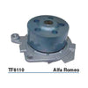 Tru-Flow Water Pump (Saleri Italy) TF8110