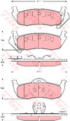 TRW Cotec Brake Pad Set GDB4137