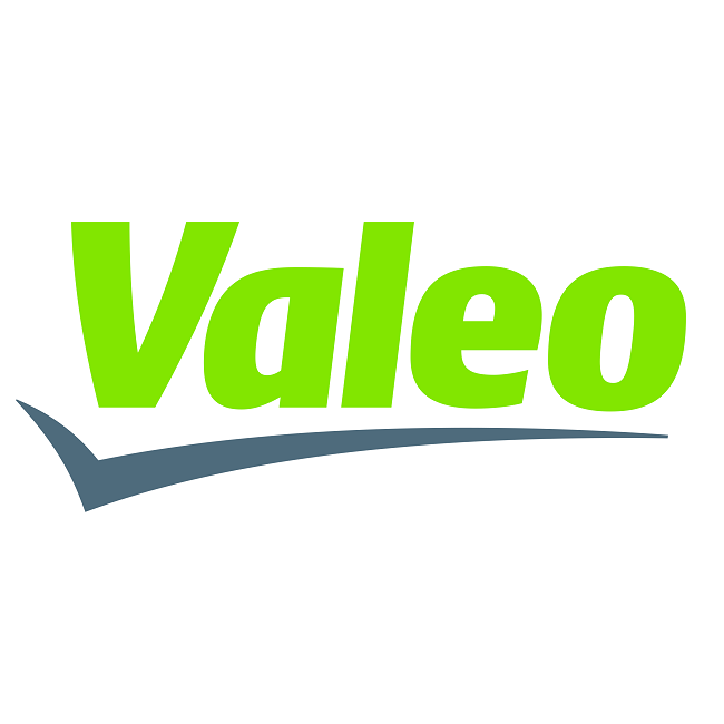 Valeo Blower Assembly to suit Citroen C4 Grand Picasso
