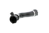 Vaico Radiator Hose Lower V20-1290